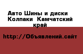 Авто Шины и диски - Колпаки. Камчатский край